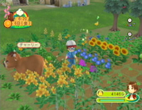 Growing Crops Harvest Moon Animal Parade