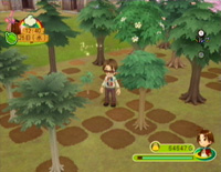 harvest moon tree of tranquility vs animal parade